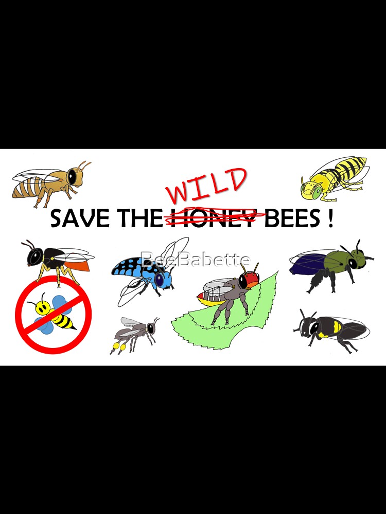 Save the WILD bees (not honeybees) by BeeBabette