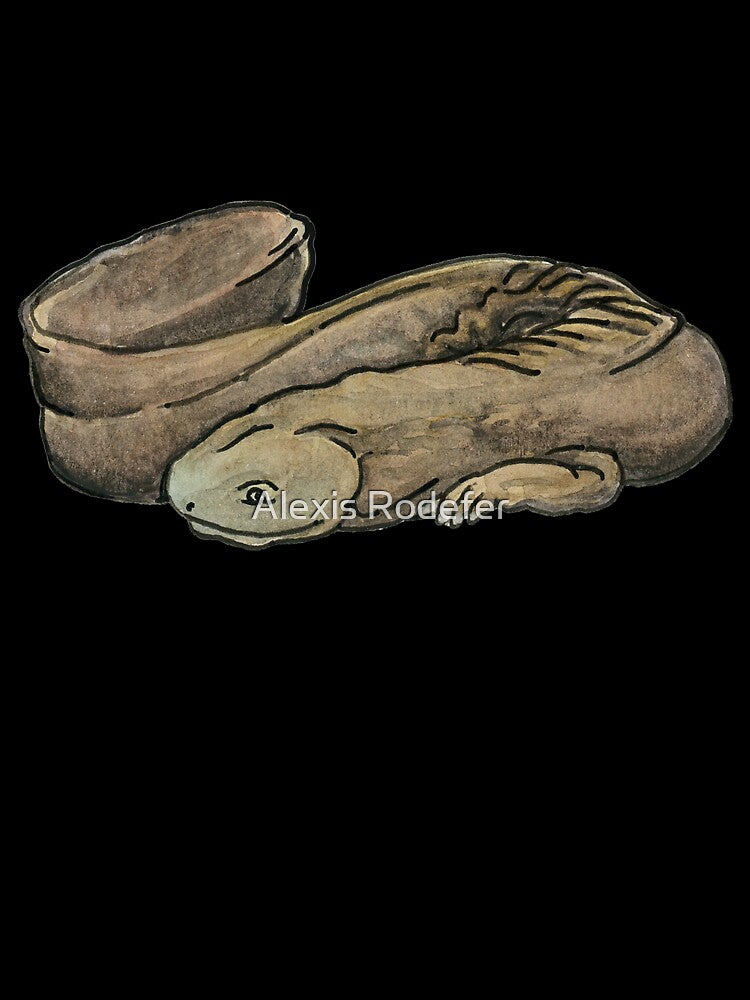 Eastern Hellbender- I'm Vulnerable by Alexis Rodefer