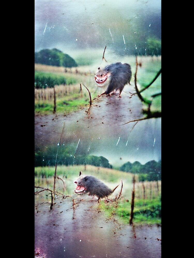 A normal rat by kiertwice