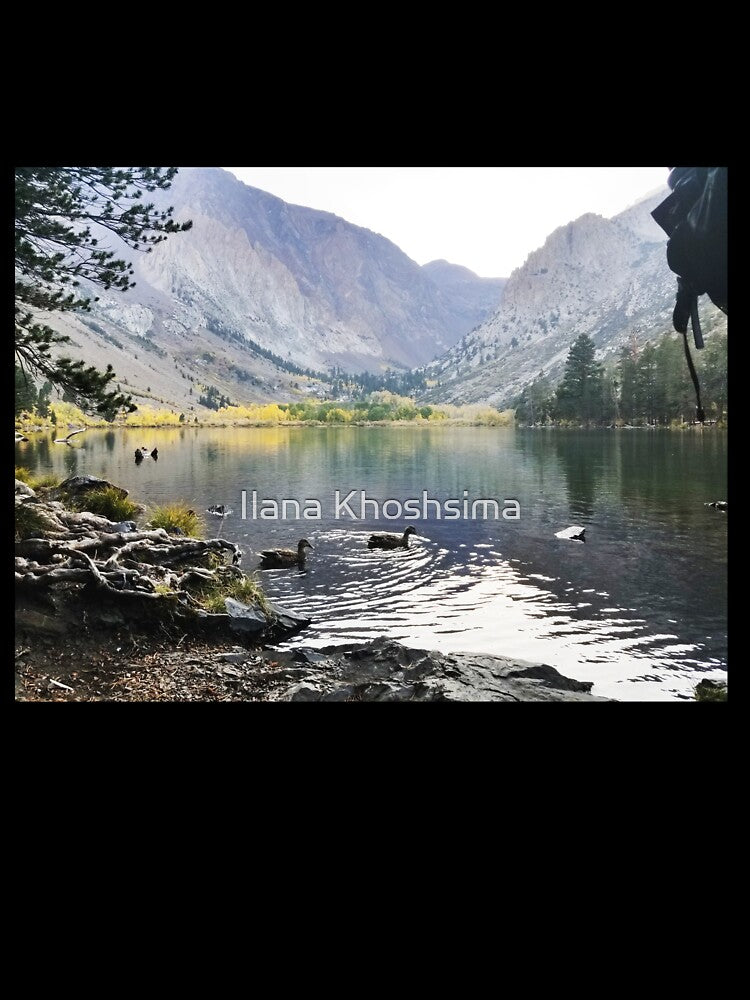 Mammoth Lake Scenery with Mountains and Ducks Floating in the Lake by Ilana Khoshsima