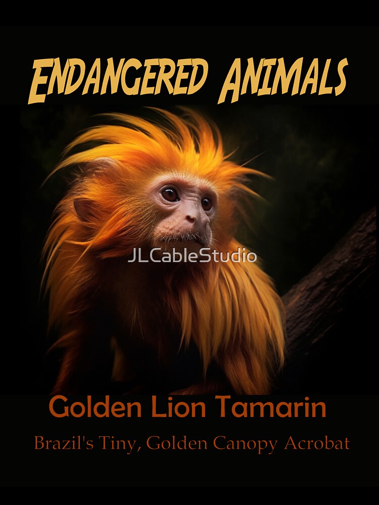 Golden Lion Tamarin: Brazil's Tiny, Golden Canopy Acrobat by JLCableStudio