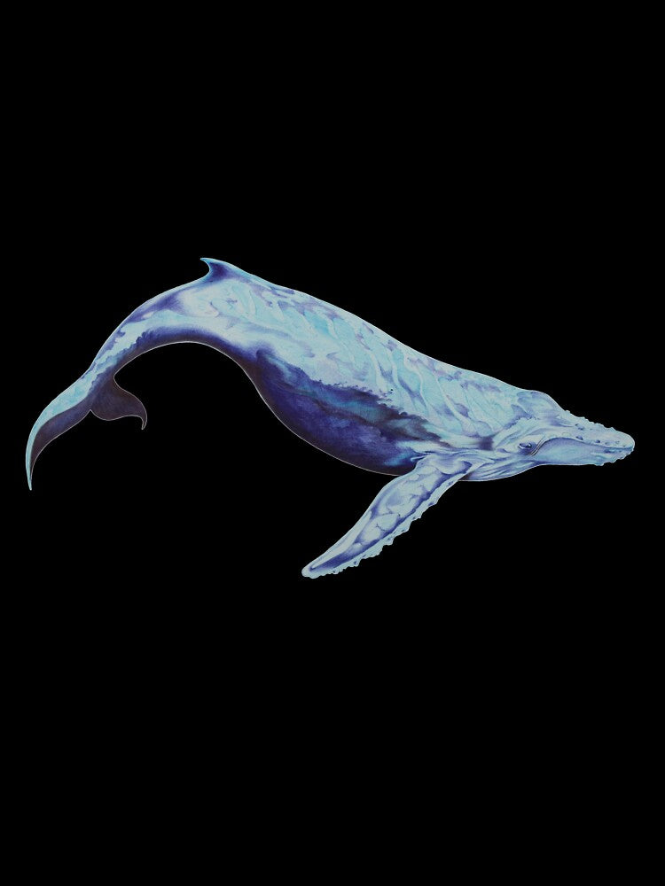 The lonely blue whale by Tosasmok