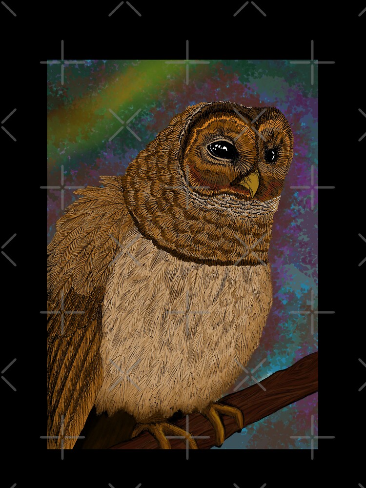 Owl by GeorginaCousley