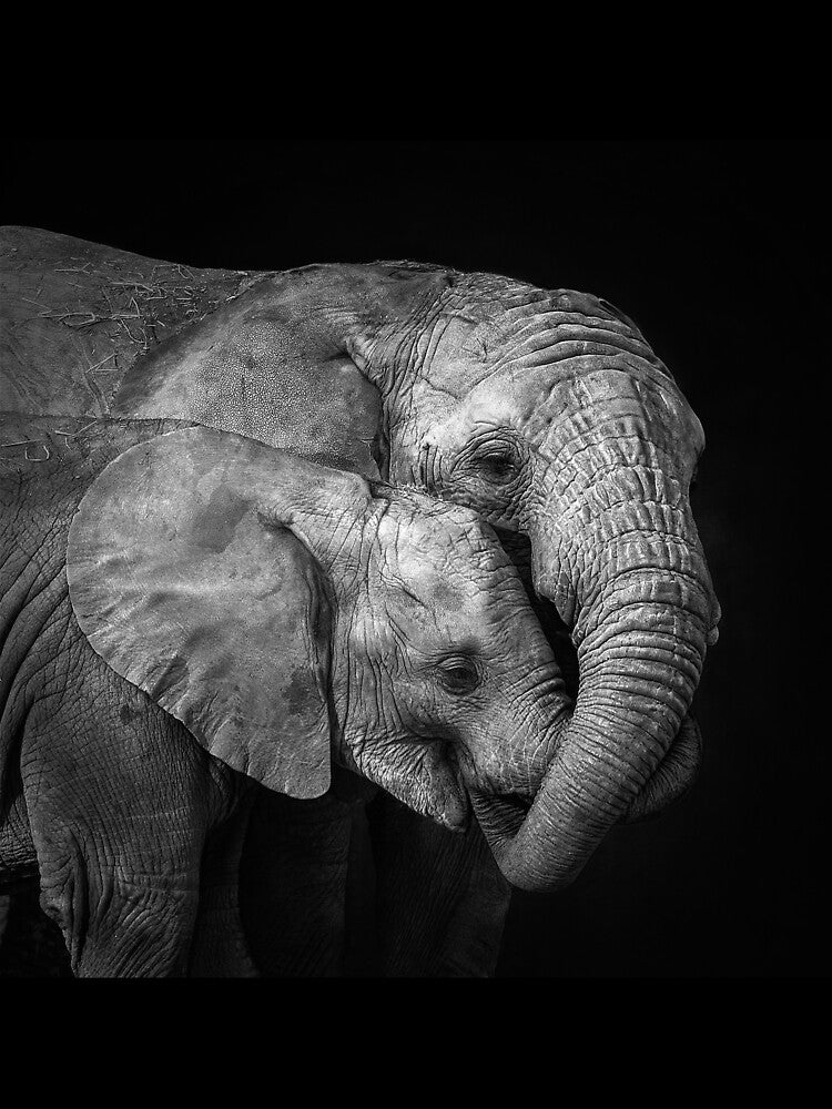 Elephant Embrace by Conservation Art Emporium