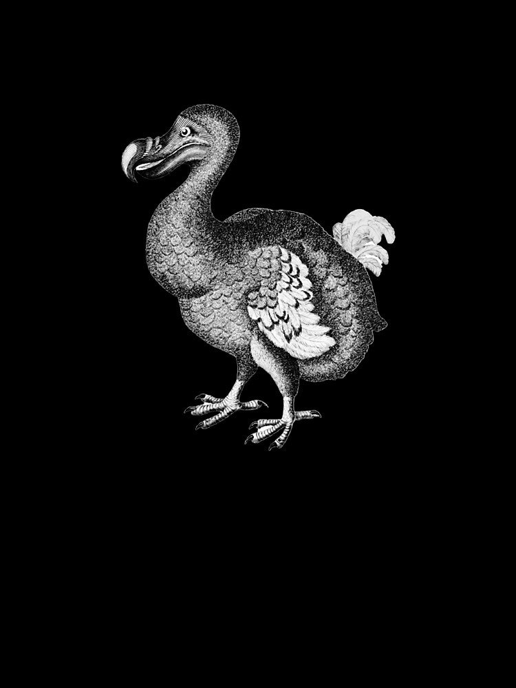 Dodo Bird Endangered Species Conservation by The Junto Shop
