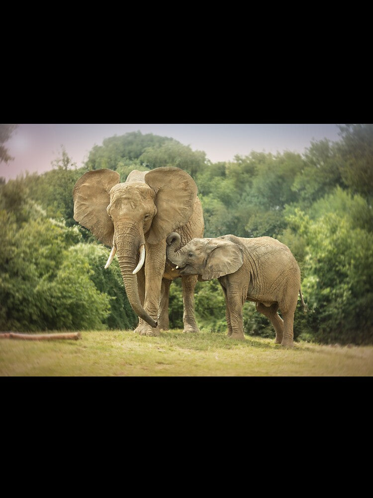 Elephants by Conservation Art Emporium