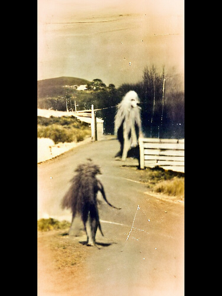 A vintage photo of a skinwalker by kiertwice