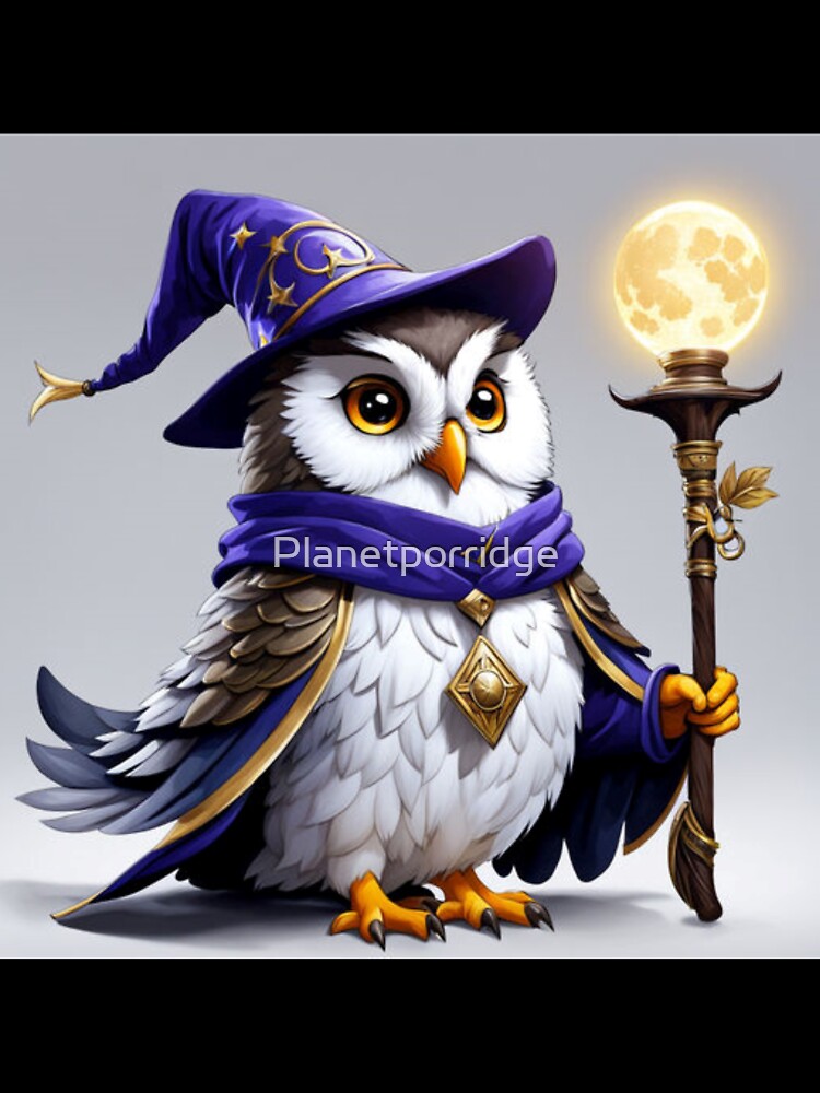 Fun Wizard Owl Art by Planetporridge
