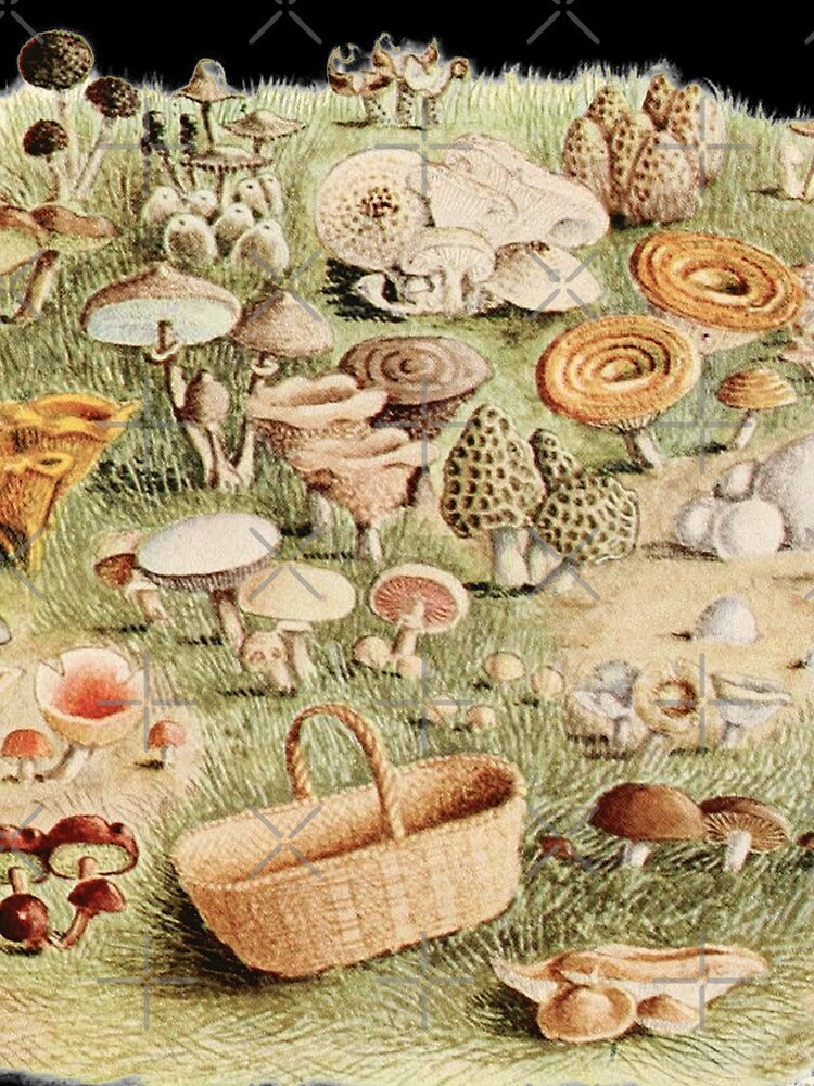 Wild Mushrooms Vintage Cottagecore Illustration by MagicStrawberry