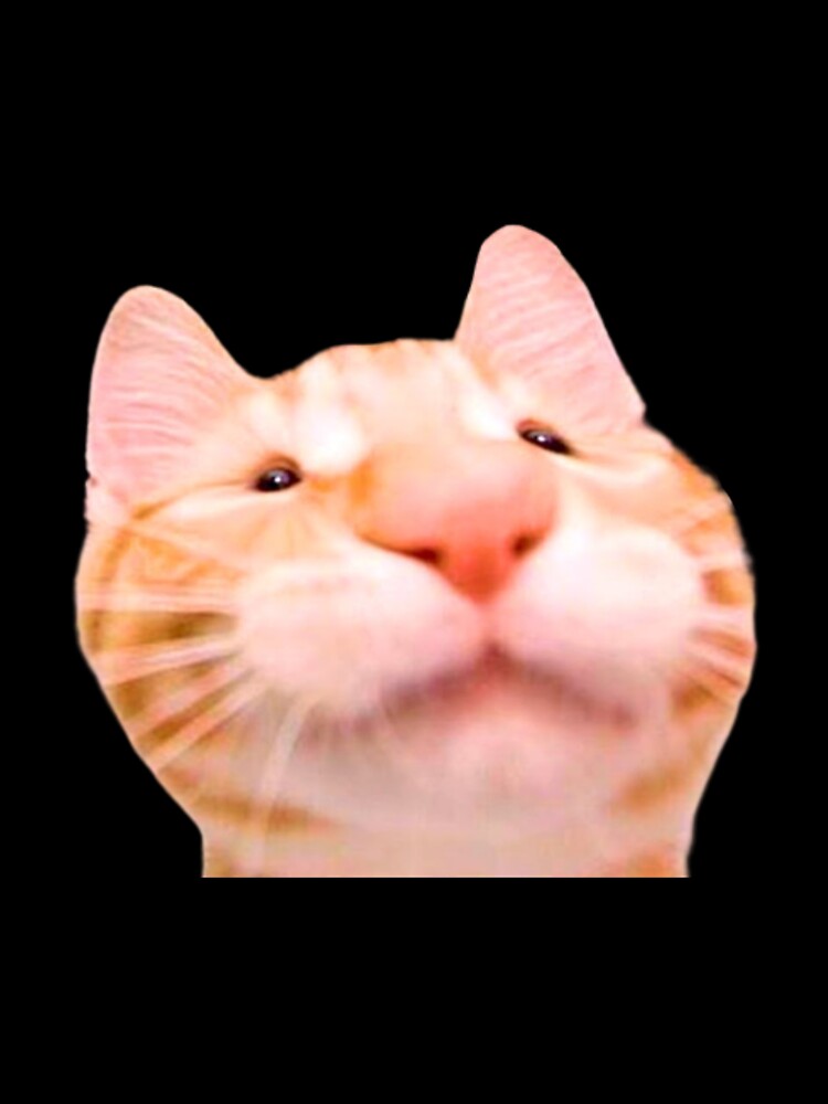 cat meme by tttatia
