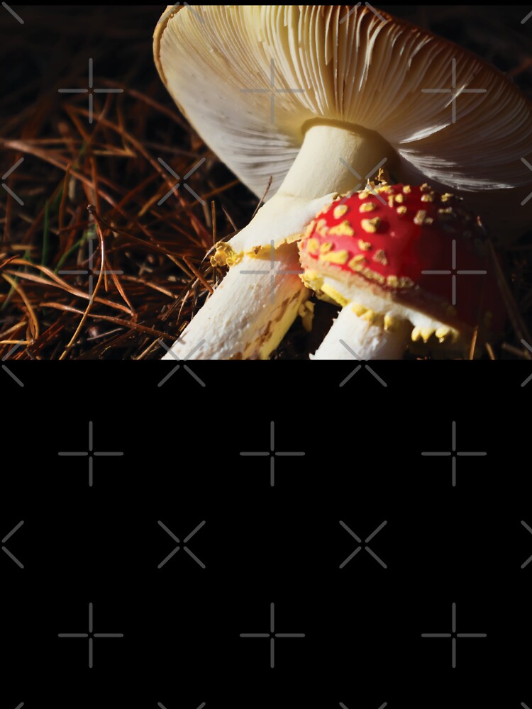 Amanita Muscaria Mushrooms on Pine Needles at Golden Hour by Maddy the Maker