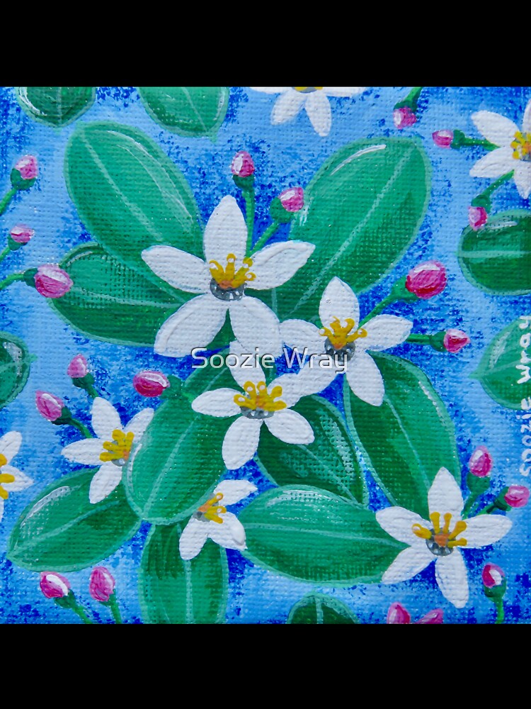 Australian Mountain Wax-Flower by Soozie Wray
