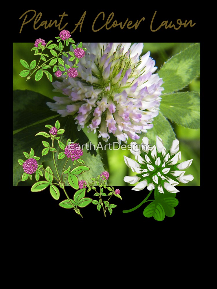 Plant A Clover Lawn Pollinator Eco-Friendly Design by EarthArtDesigns