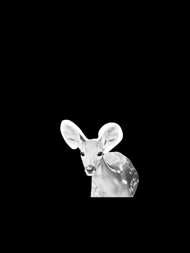 Protect the Wild- Deer by Couchiching Conservancy