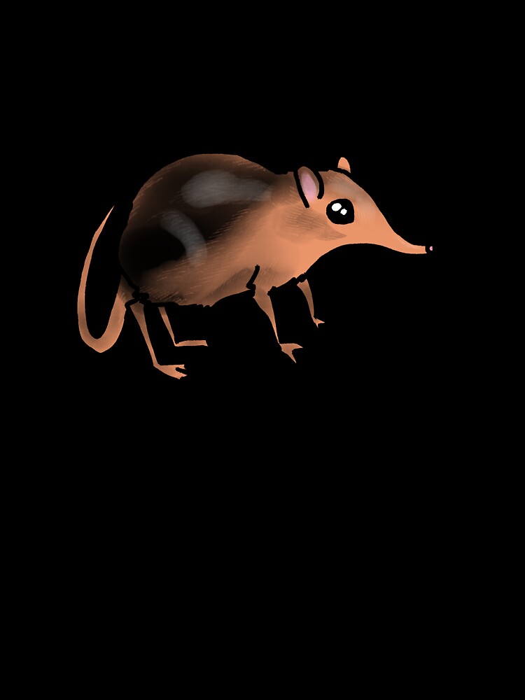 Elephant Shrew by Julidelphia