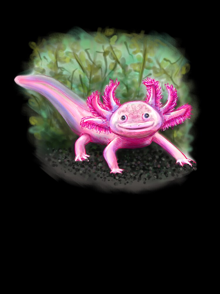 Axolotl by caitlinshea24