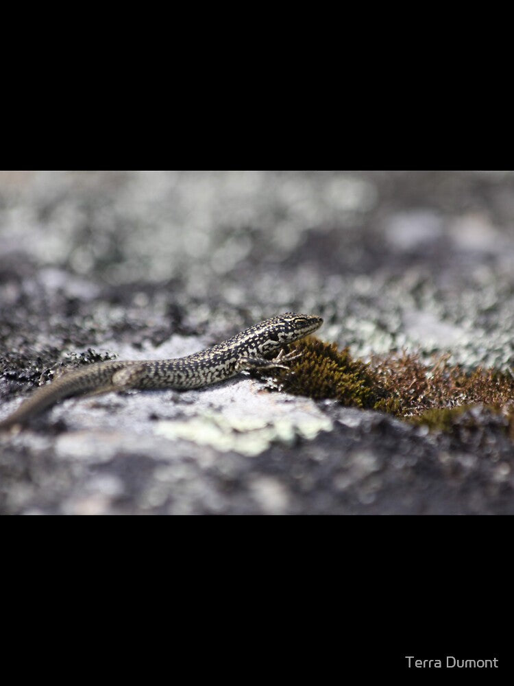 Grand skink with moss by Terra Dumont