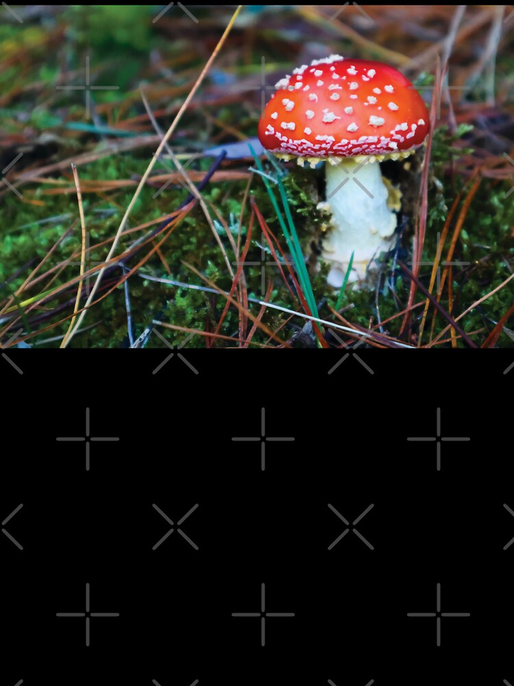 Baby Amanita Muscaria Mushroom in Mossy Pine Forest by Maddy the Maker