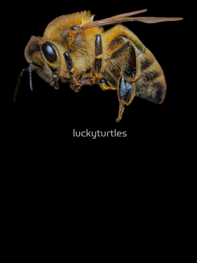 Bee design by luckyturtles