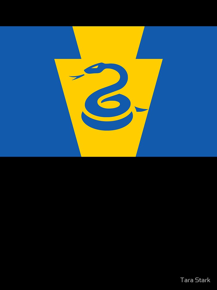 Philly Soccer Keystone Flag by Tara Stark