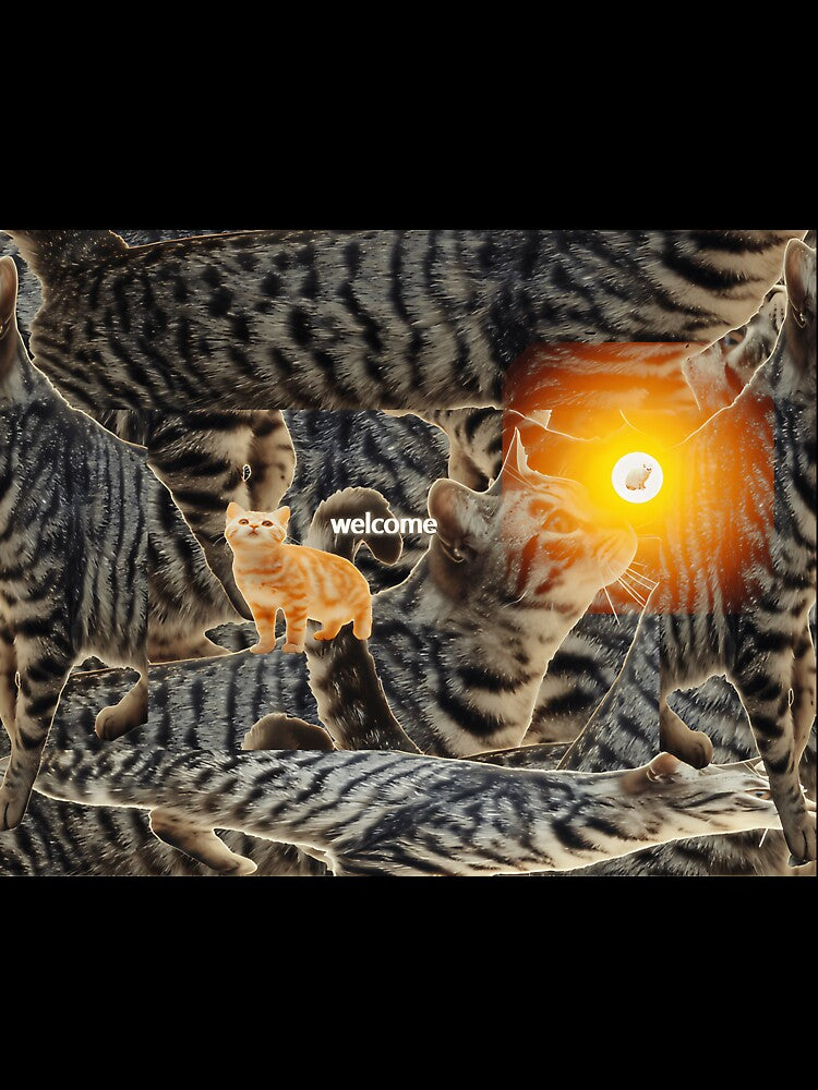 Weirdcore Kitties Dreamcore Space Art by ugmrbhbm6