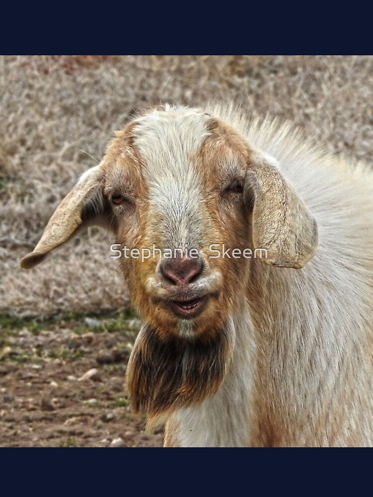 smiling billy goat by Stephanie  Skeem