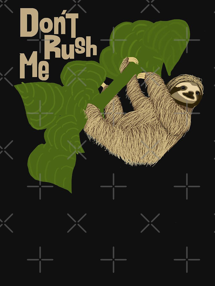 Sloth, Don't Rush Me by Amy Hadden