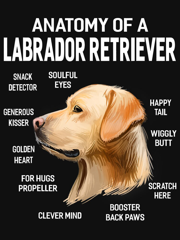 Dogs 365 Anatomy Of A Labrador Retriever Dog Funny by AngelanMichelle