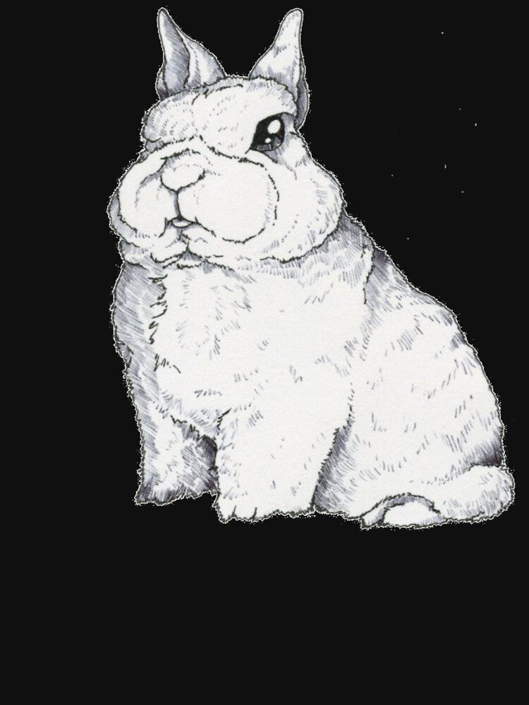 Dwarf Rabbit - Cute Dwarf Rabbit Shirt - Gift For Rabbit Lovers - Dwarf Rabbit Owners by Galvanized