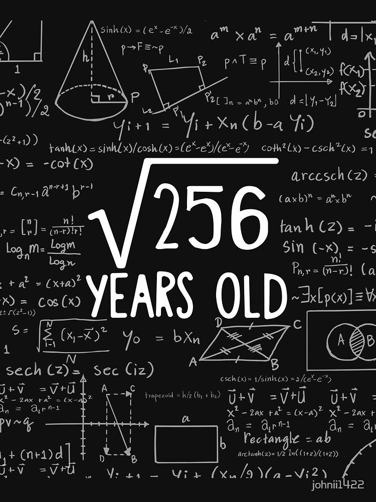 Square Root of 256: 16th Birthday gift | 16 Years Old T-Shirt | Sixteenth Birthday | Girls and Boys by johnii1422