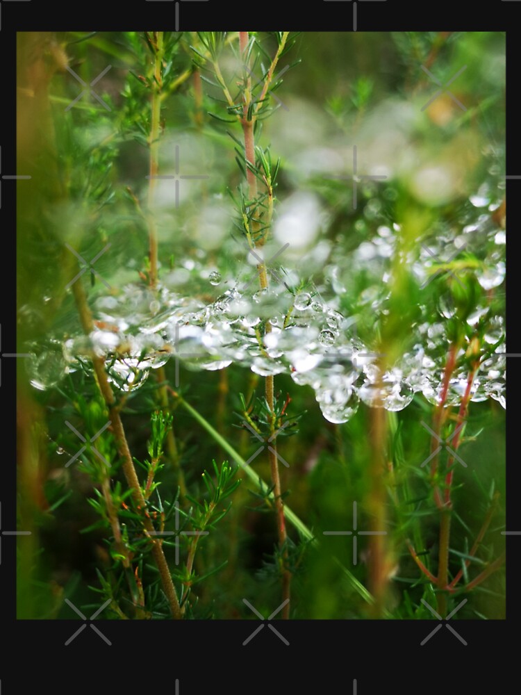Morning Dew on Green Forest Cobweb by Kainicram