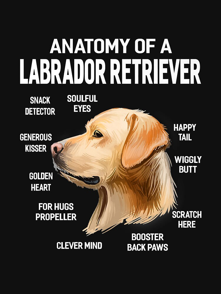 Dogs 365 Anatomy of a Labrador Retriever Dog Funny Gift Premium by marshapgp