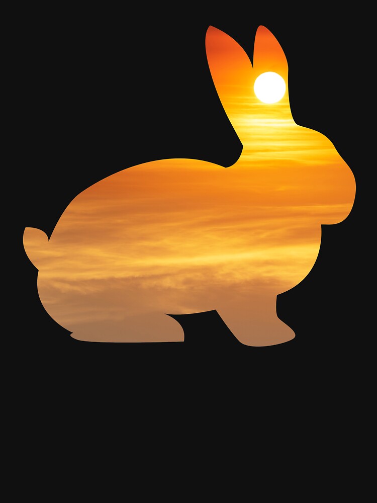 Rabbit Silhouette Sunrise by alaechamlal