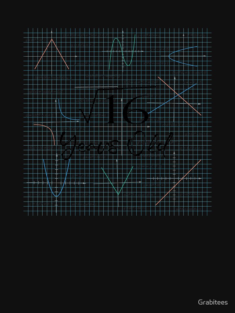Square Root Of 16 - Funny 4th Birthday 4 Years Old Math product by Grabitees