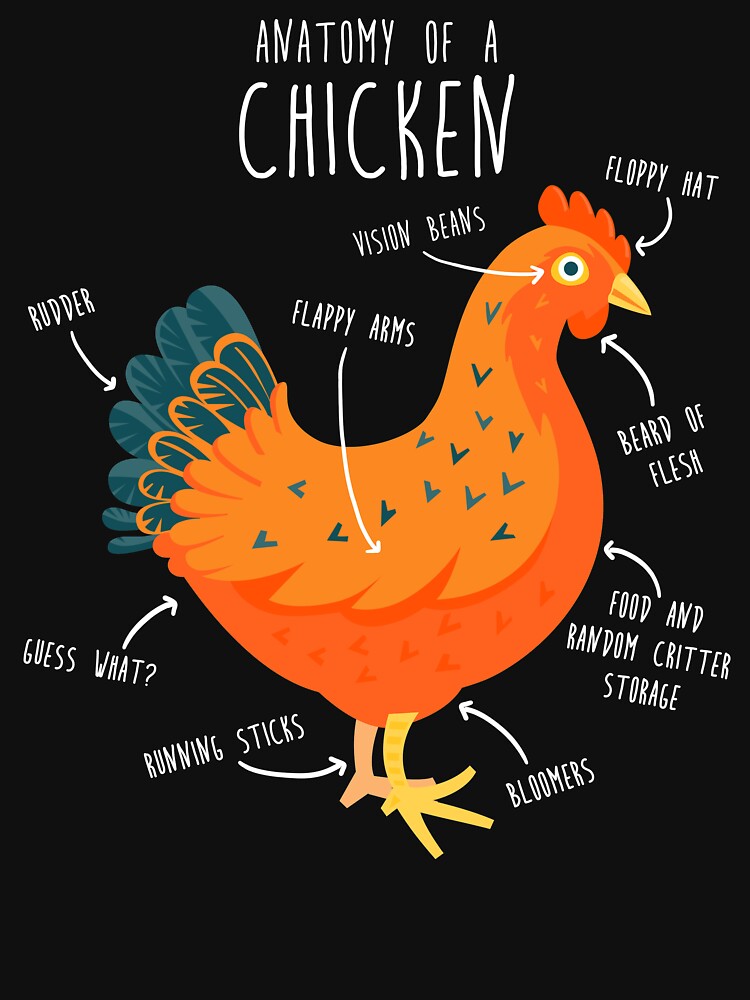 Anatomy of a Chicken by Clara Hollins