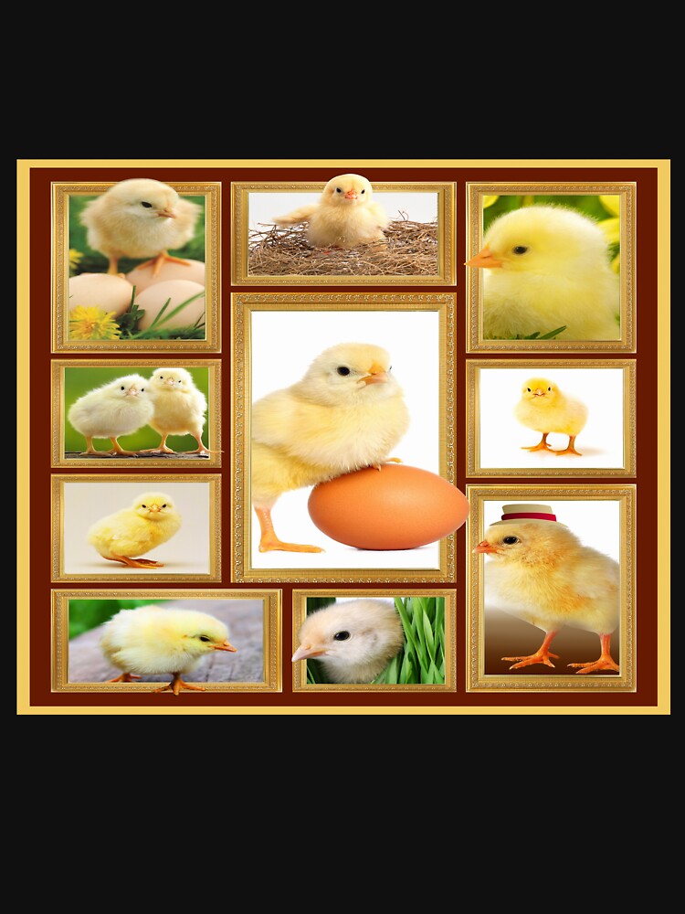 Chicken - Chicken Lover - Chick by christinecather