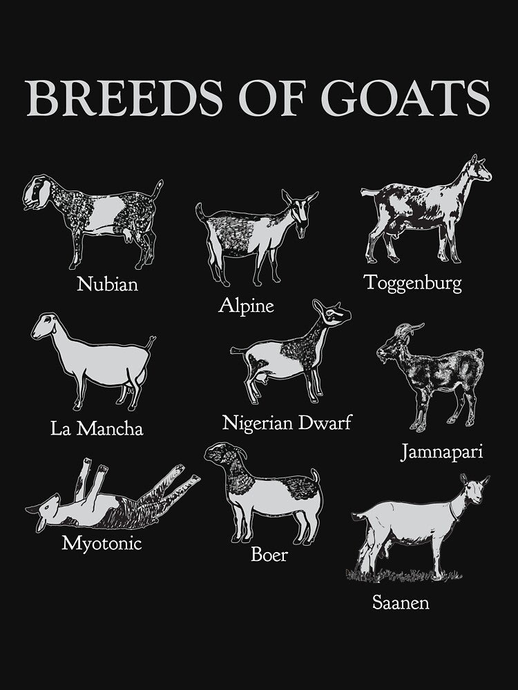Goats Breeds Species Goat Farmer Goat Breeder by Lenny Stahl