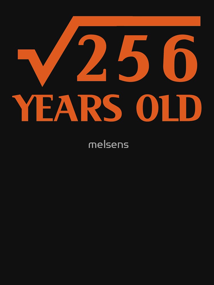 16th Happy Birthday Art 16 Years Old Square Root of 256 by melsens