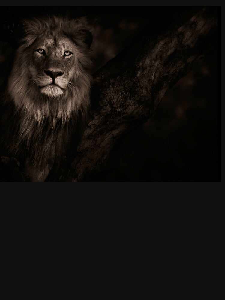 ALPHA Lion Design by HazyNZ