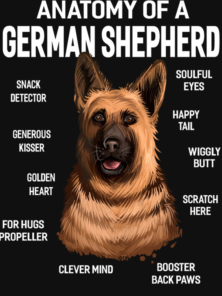 Dogs 365 Anatomy of a German Shepherd Dog Funny Gift Pullover Hoodie by augetjalegrei