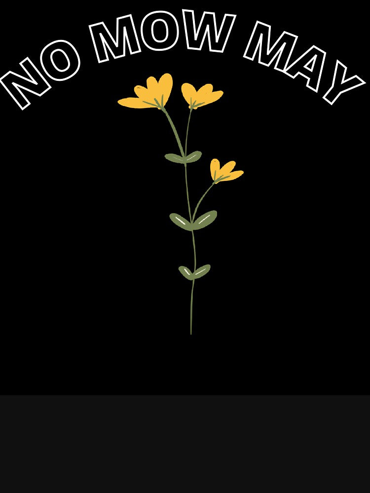 no mow may-yellow flowers by Your  Dream