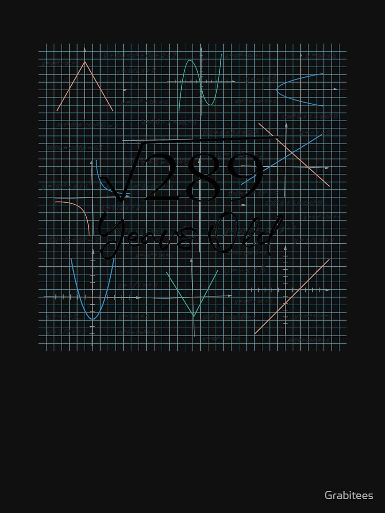 Square Root Of 289 - Funny 17th Birthday 17 Years Old Math product by Grabitees