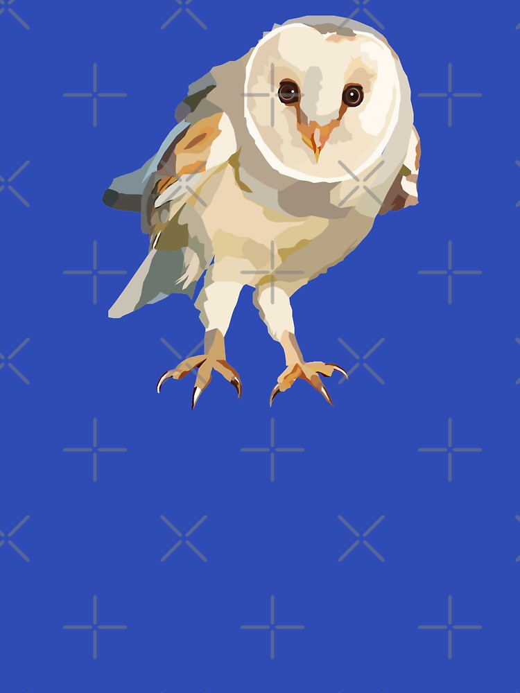 Barn Owl Crouching Illustration by MariaWorkman