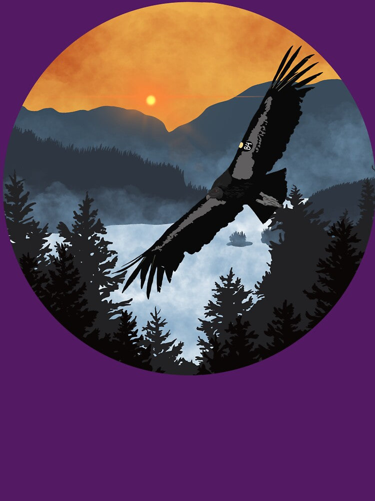 Condor 1194: B4 by Two Loons