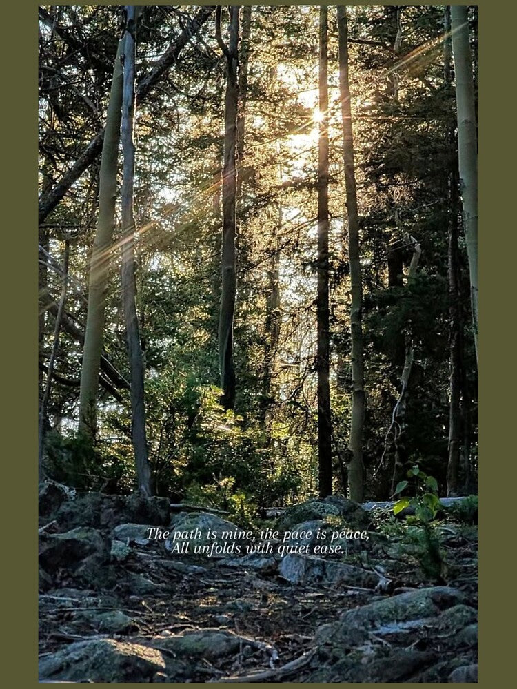 A Jungle of Quiet Alignment by Real Pro. Designs