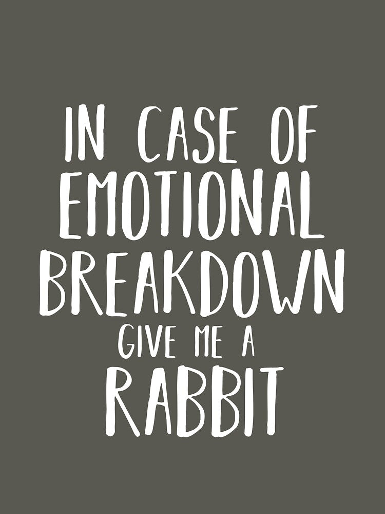 Awesome Rabbit Lover Shirt Gift For Men Women by jcorres