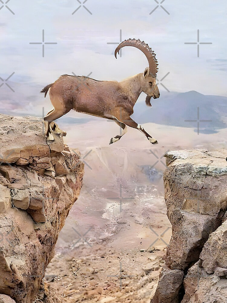 Ibex Goat jumping Rocks by MorningFive