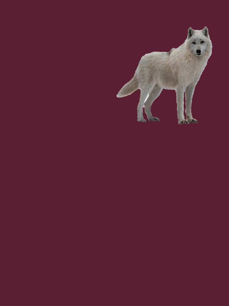 Arctic Wolf Design by NoxLand