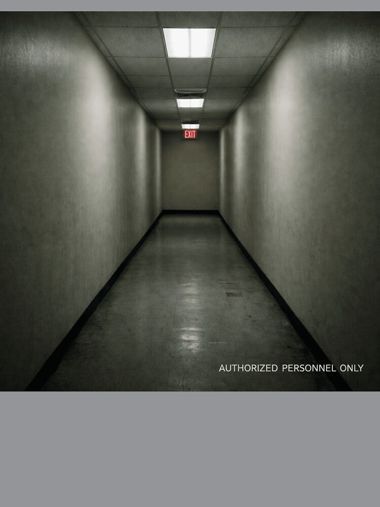 AUTHORIZED PERSONNEL ONLY – Liminal Hallway Wall Art Print by POD DYNASTY | Original Print On Demand T-Shirt Graphics