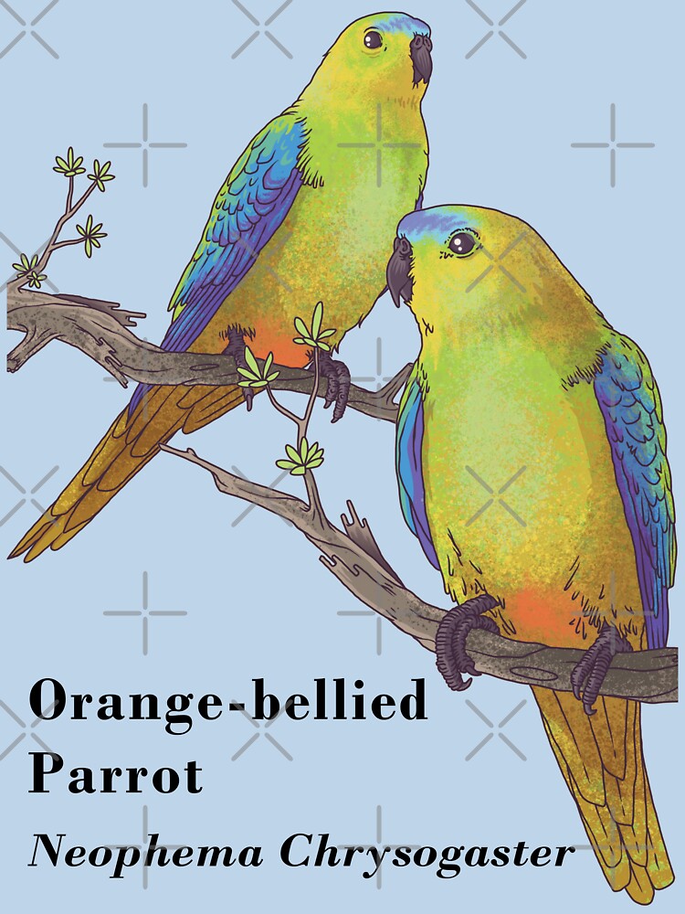2 OBPs (b) species | light t-shirts by Friends of OBP